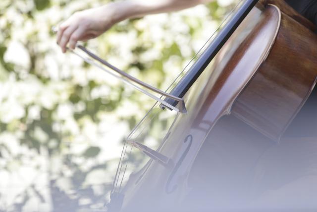 Une personne jouant du violoncelle dans un jardin