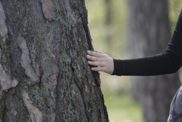 Une adolescente touchant un arbre