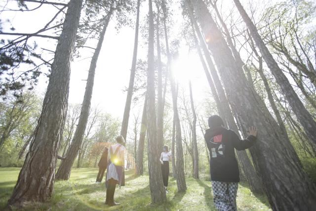 Des jeunes se promenant dans la fôret