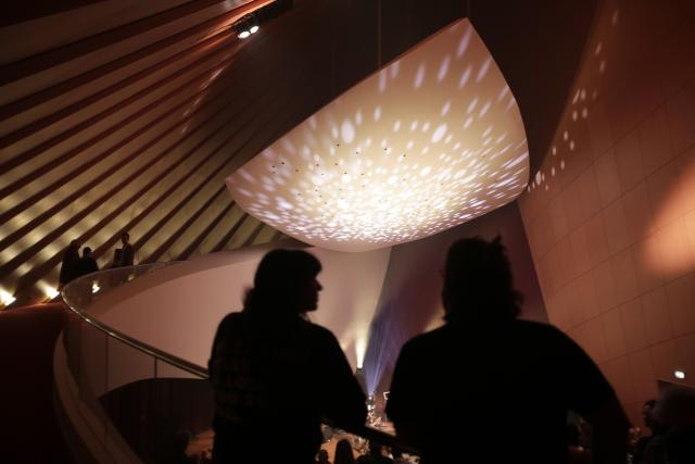 Deux personnes de dos et debout en haut d'une salle de concert