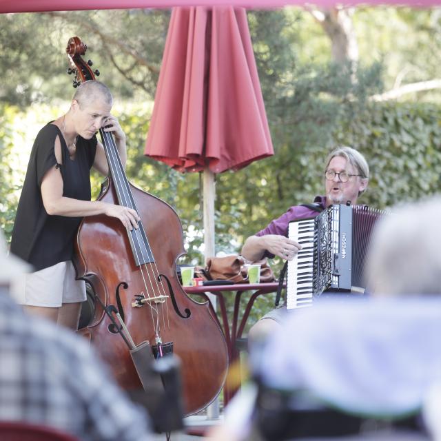 Deux musiciens jouant du violoncelle et de l'accordéon