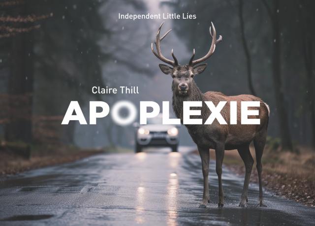 Affiche d'Apoplexie avec un cerf sur une route, une voiture roule face à nous.