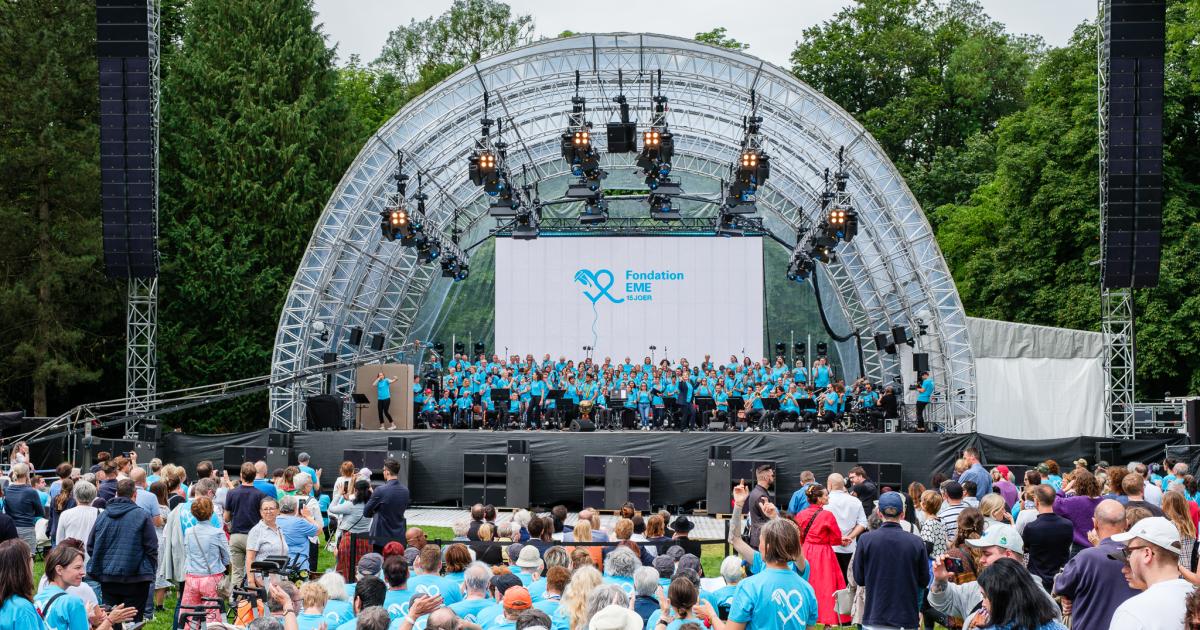 Screenshot or Official Image for alltogether.lu - All Together | Fondation EME